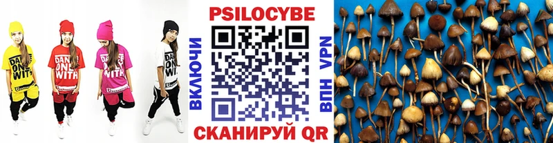 это Telegram  Суоярви  Псилоцибиновые грибы GOLDEN TEACHER 